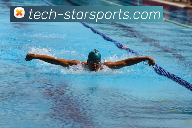 体育下注平台生态图